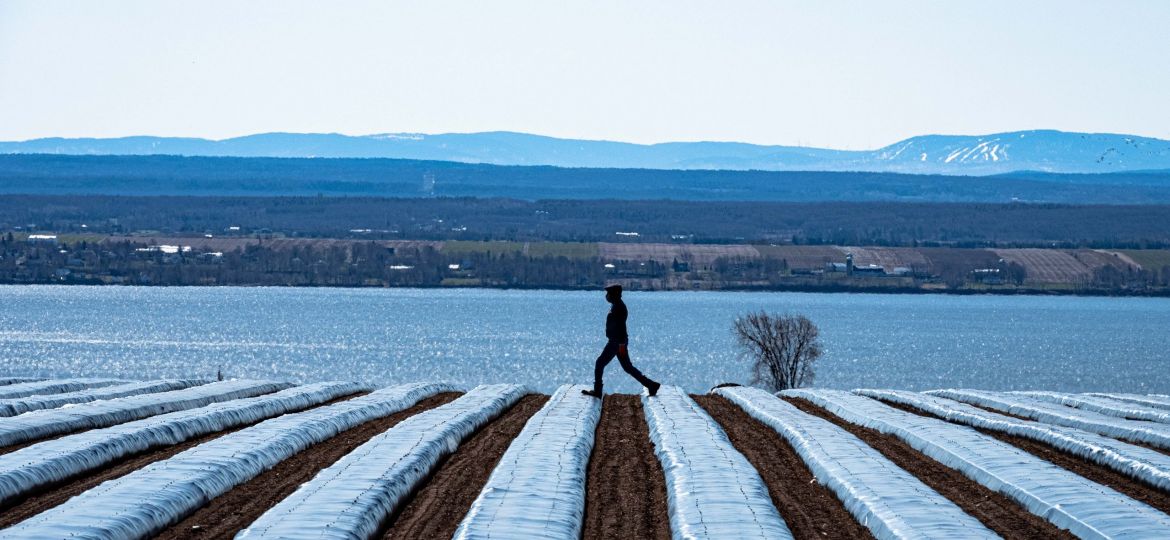 Un dernier tour de piste pour évaluer le travail du lendemain.
